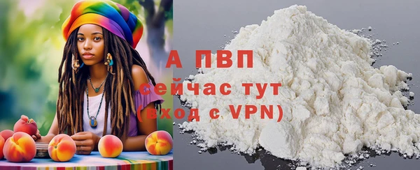ПСИЛОЦИБИНОВЫЕ ГРИБЫ Аркадак