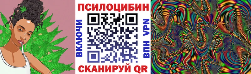 Псилоцибиновые грибы мицелий  Саки 