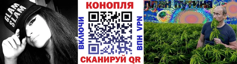 где продают Саки Канабис White Widow